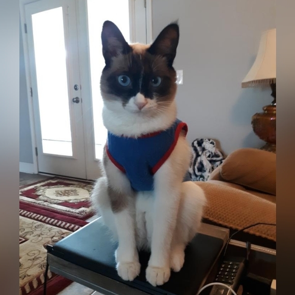 Meet your Posher, Kathryn - Picture 3 of 3